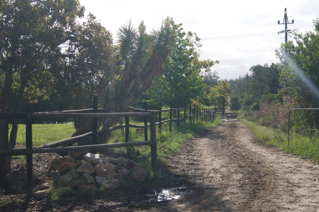 Buffelsdam Country House Kurland Екстериор снимка