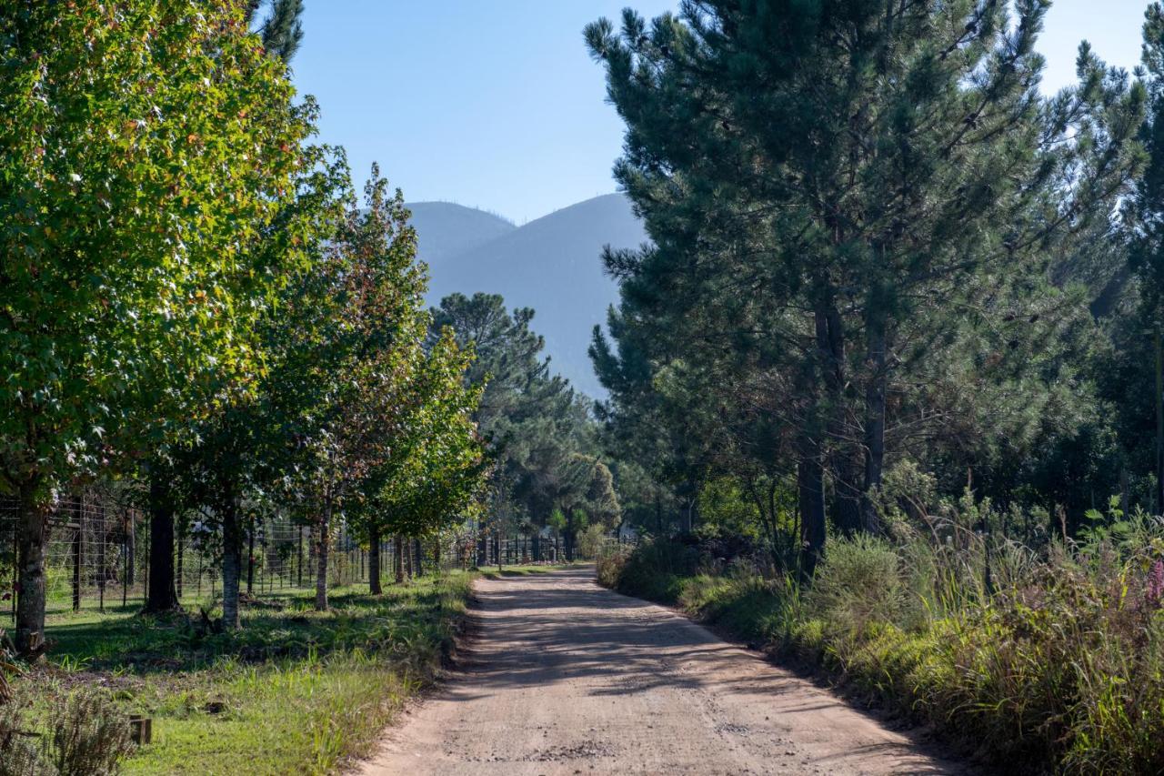 Buffelsdam Country House Kurland Екстериор снимка